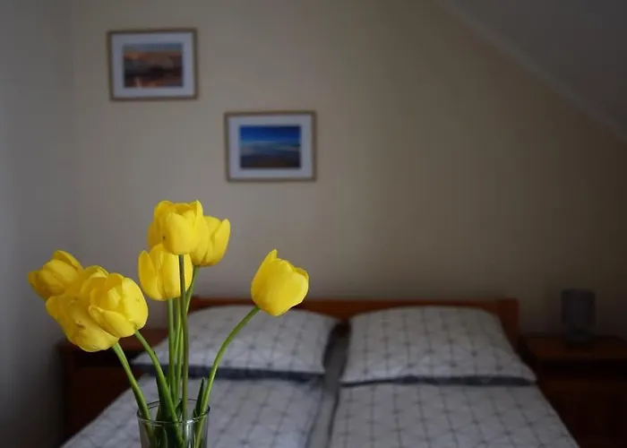 Lena * Grzybowo (West Pomeranian)