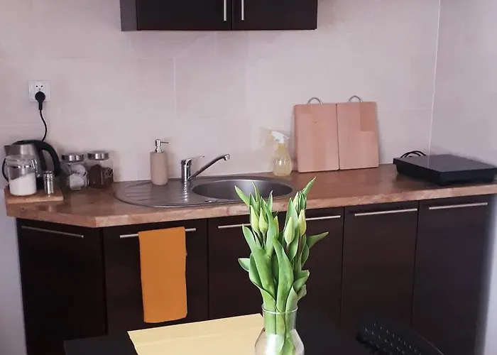 Βίλα Lena Grzybowo (West Pomeranian)